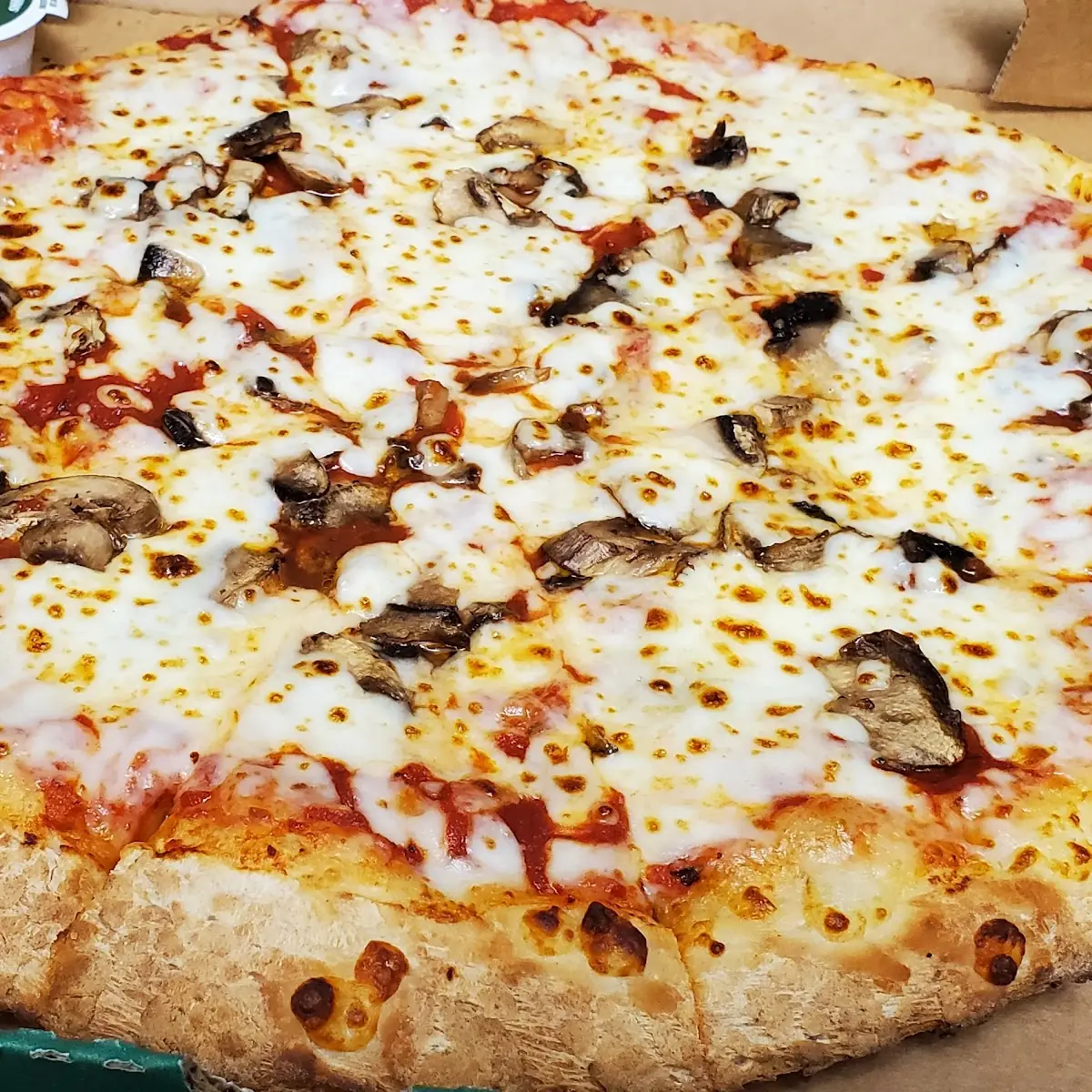 Mushroom Pizza