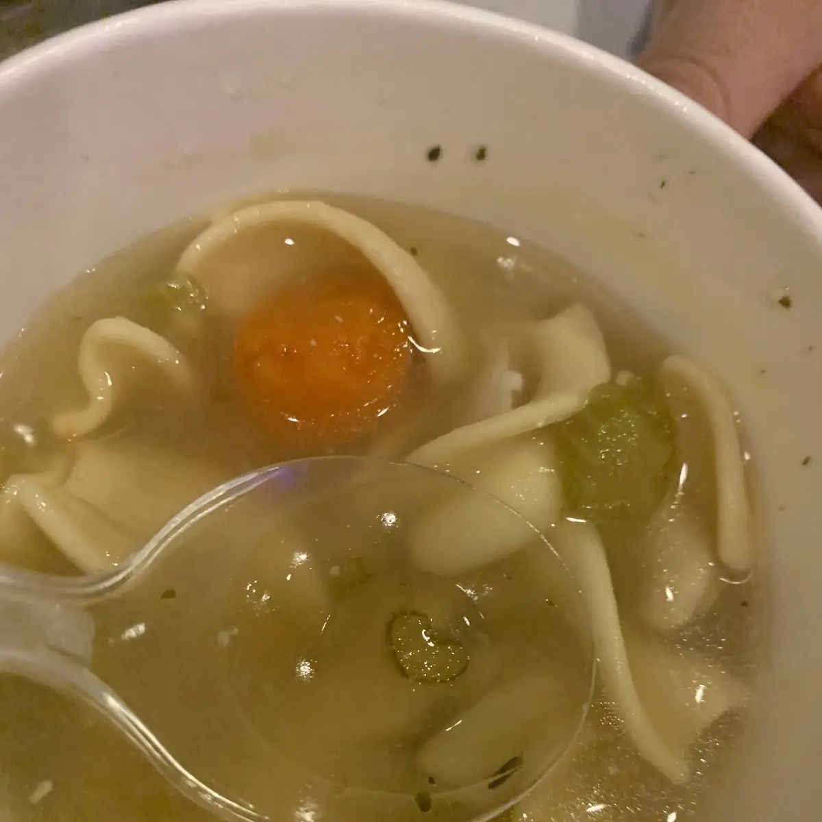 Homestyle Chicken Noodle Soup