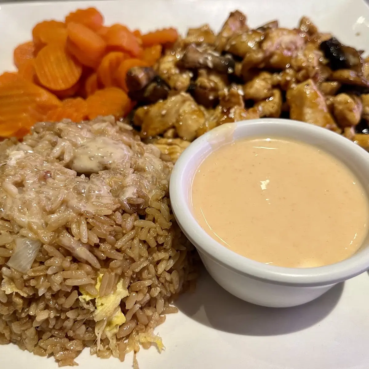 Teriyaki Chicken with Fried Rice