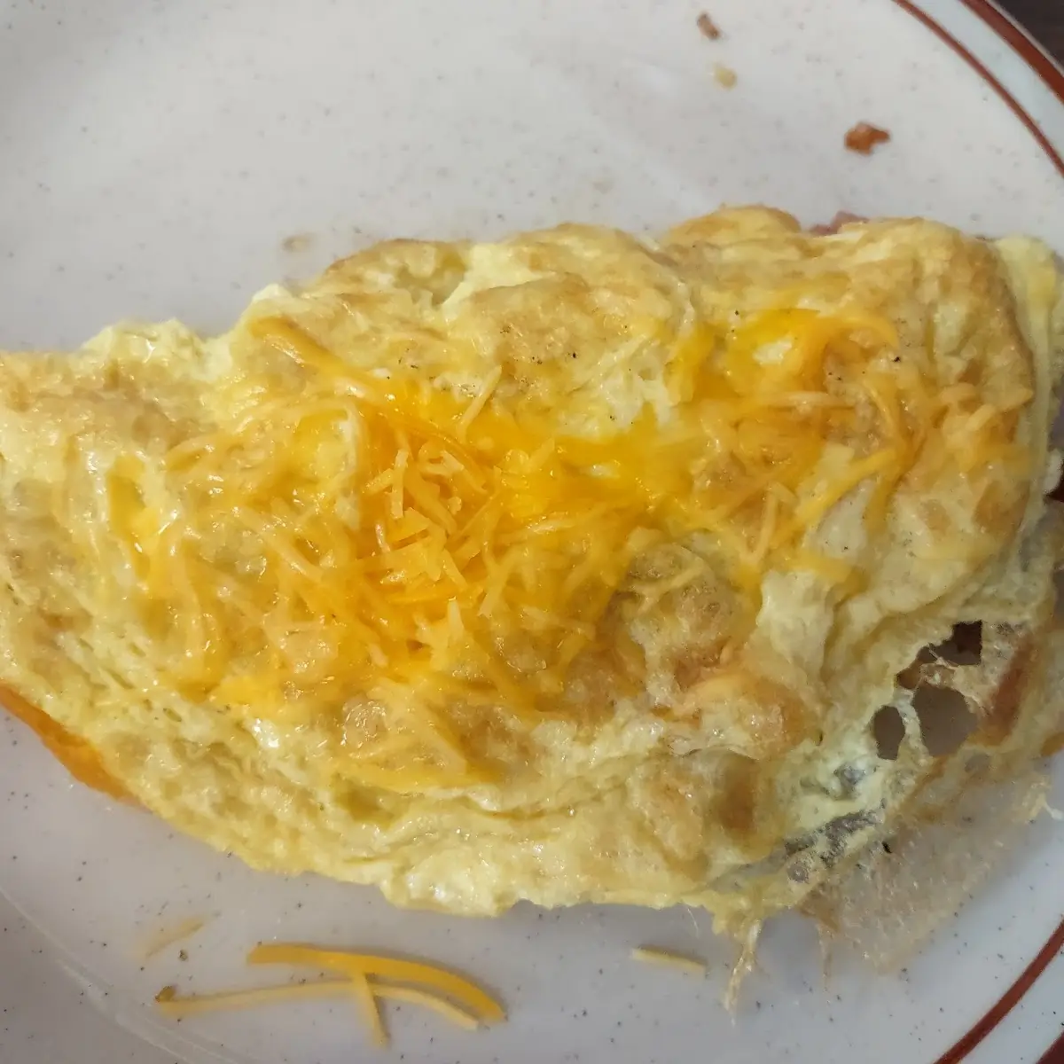 Cheese Omelet