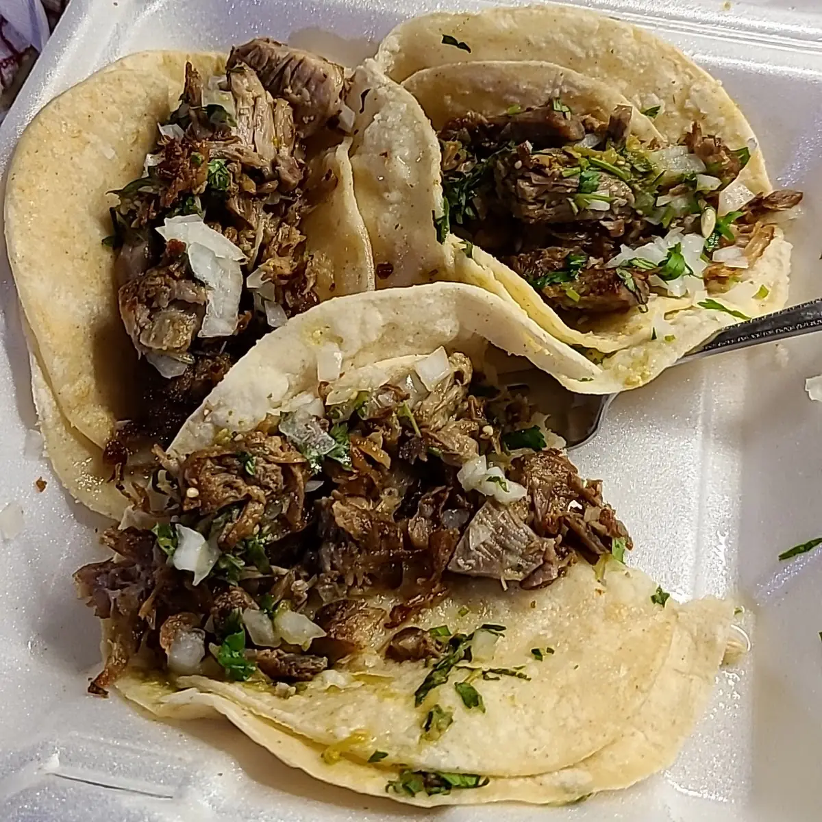 Carnitas Tacos