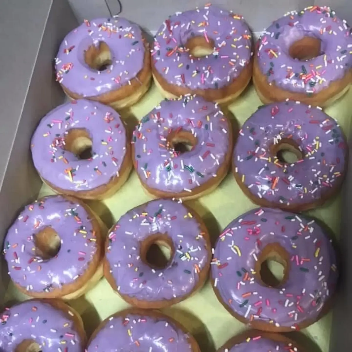 Doughnut