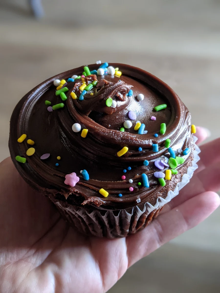 Chocolate Cupcake