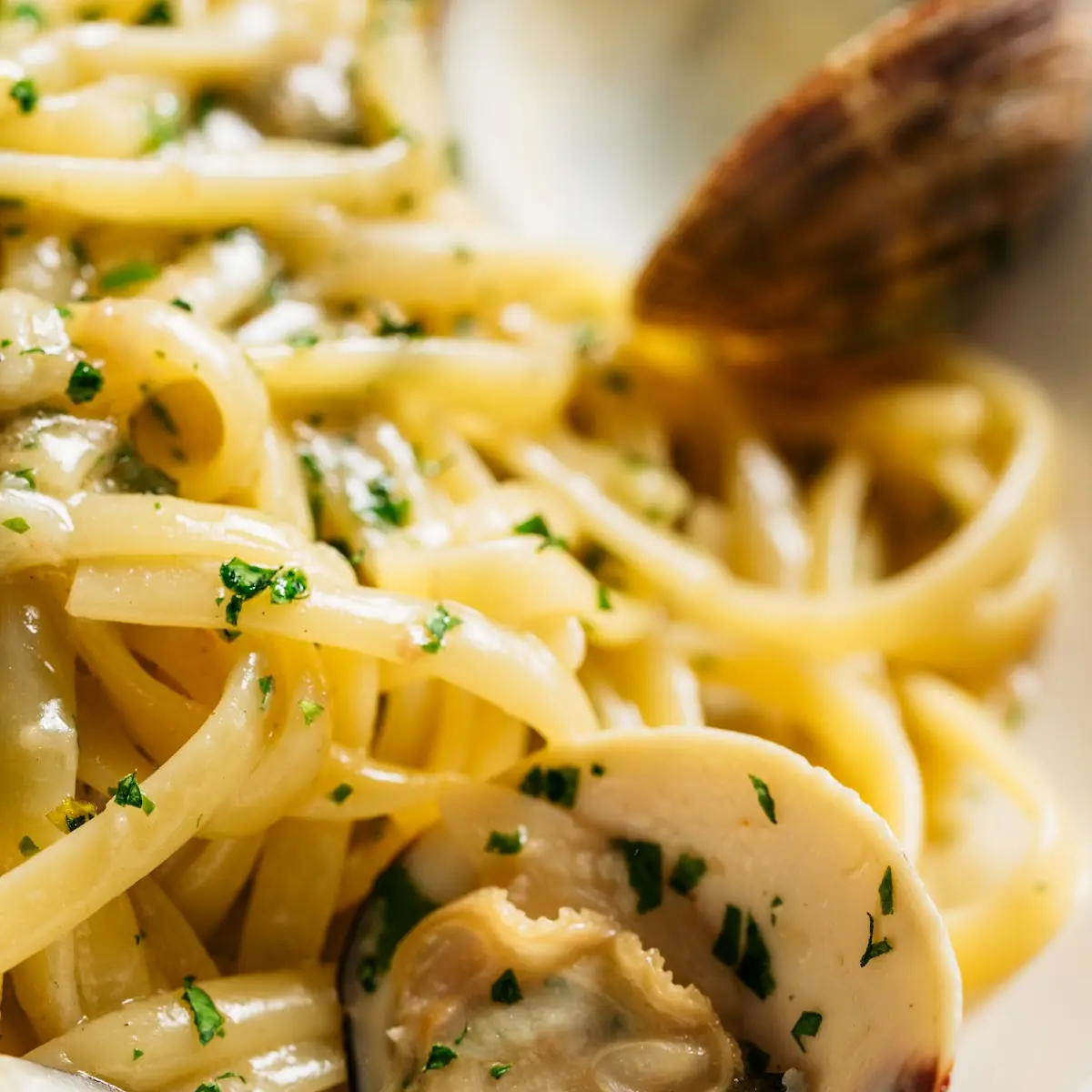 Linguine Vongole