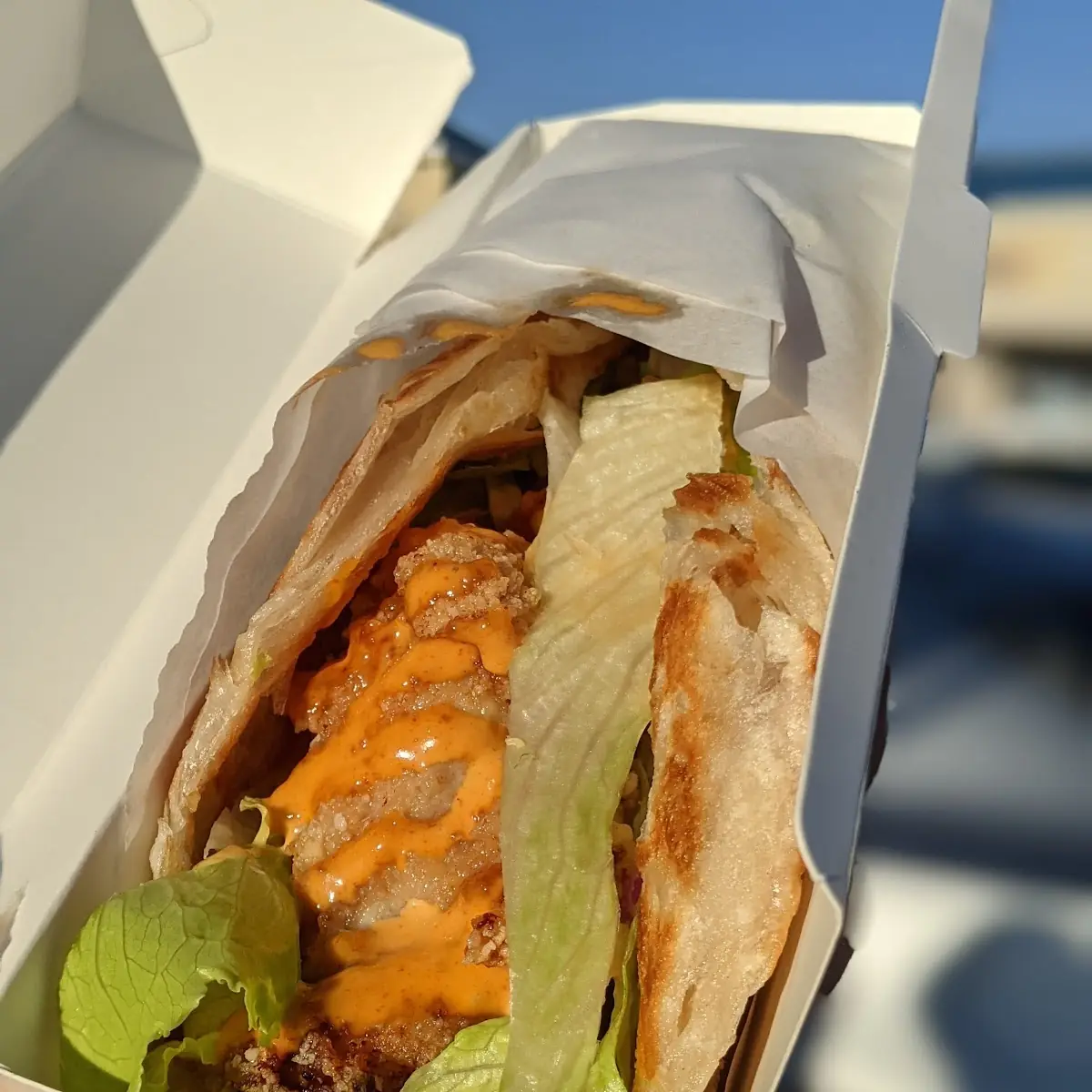 Spicy Chicken Crispy Roll
