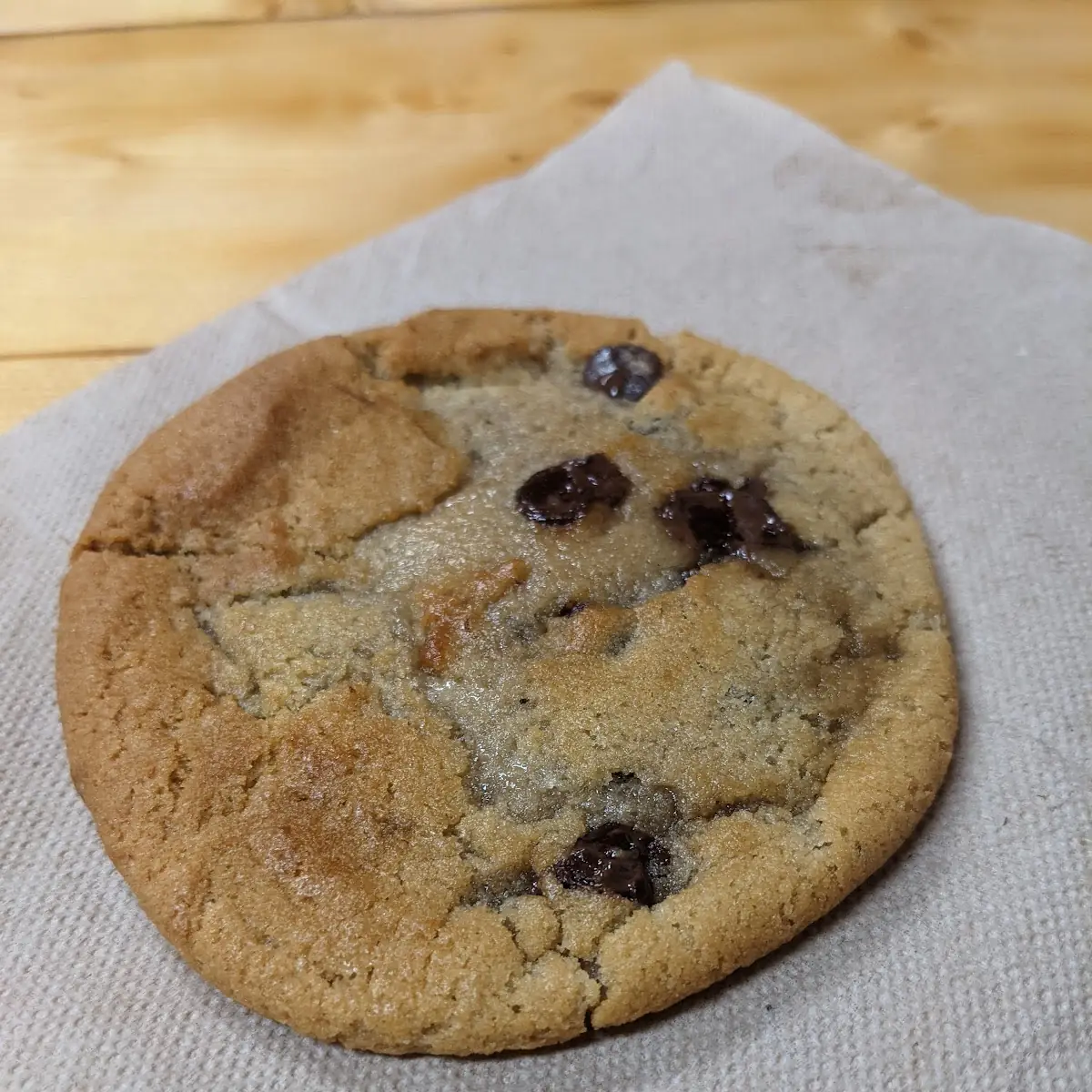 Chocolate Chip Cookie