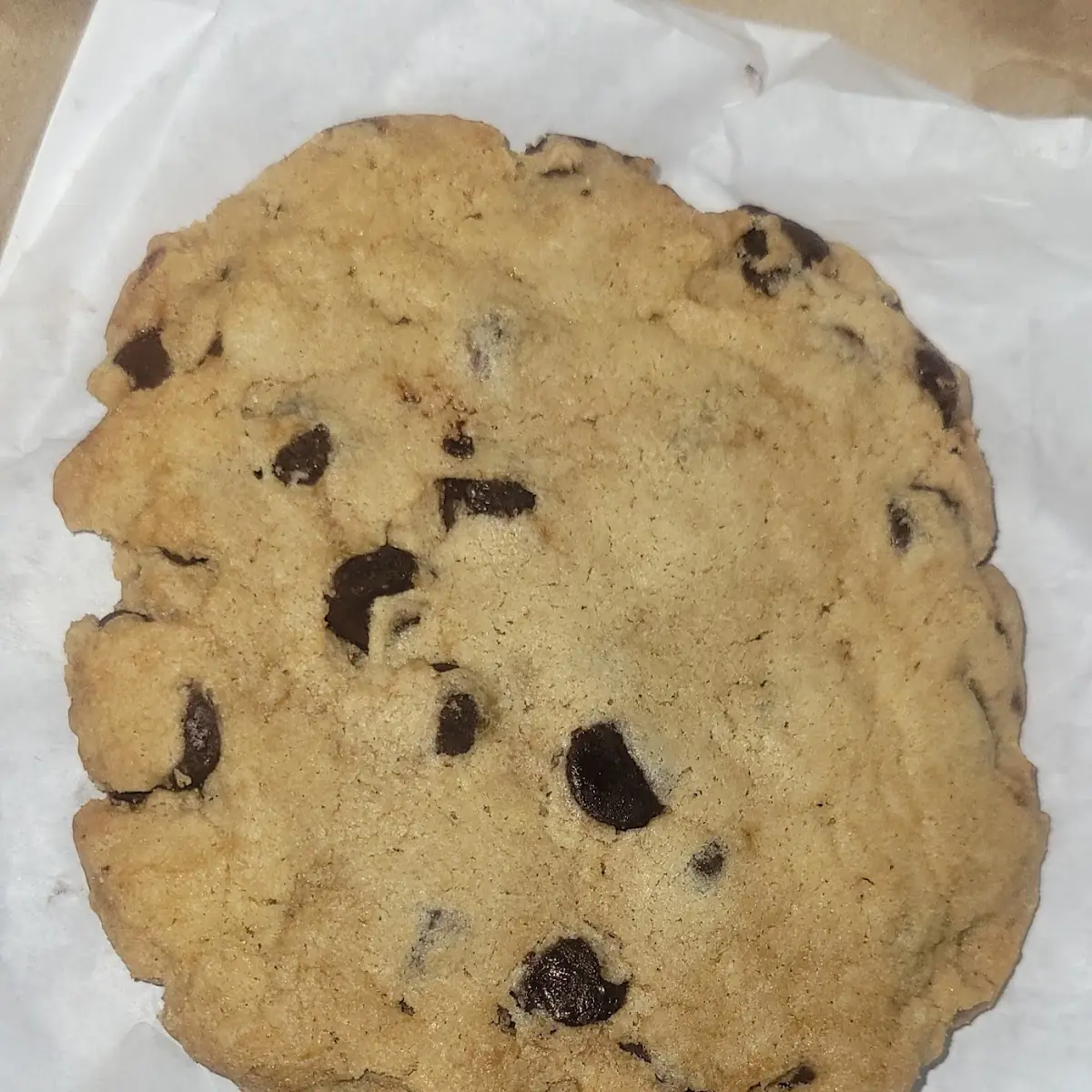 Chocolate Chip Cookie