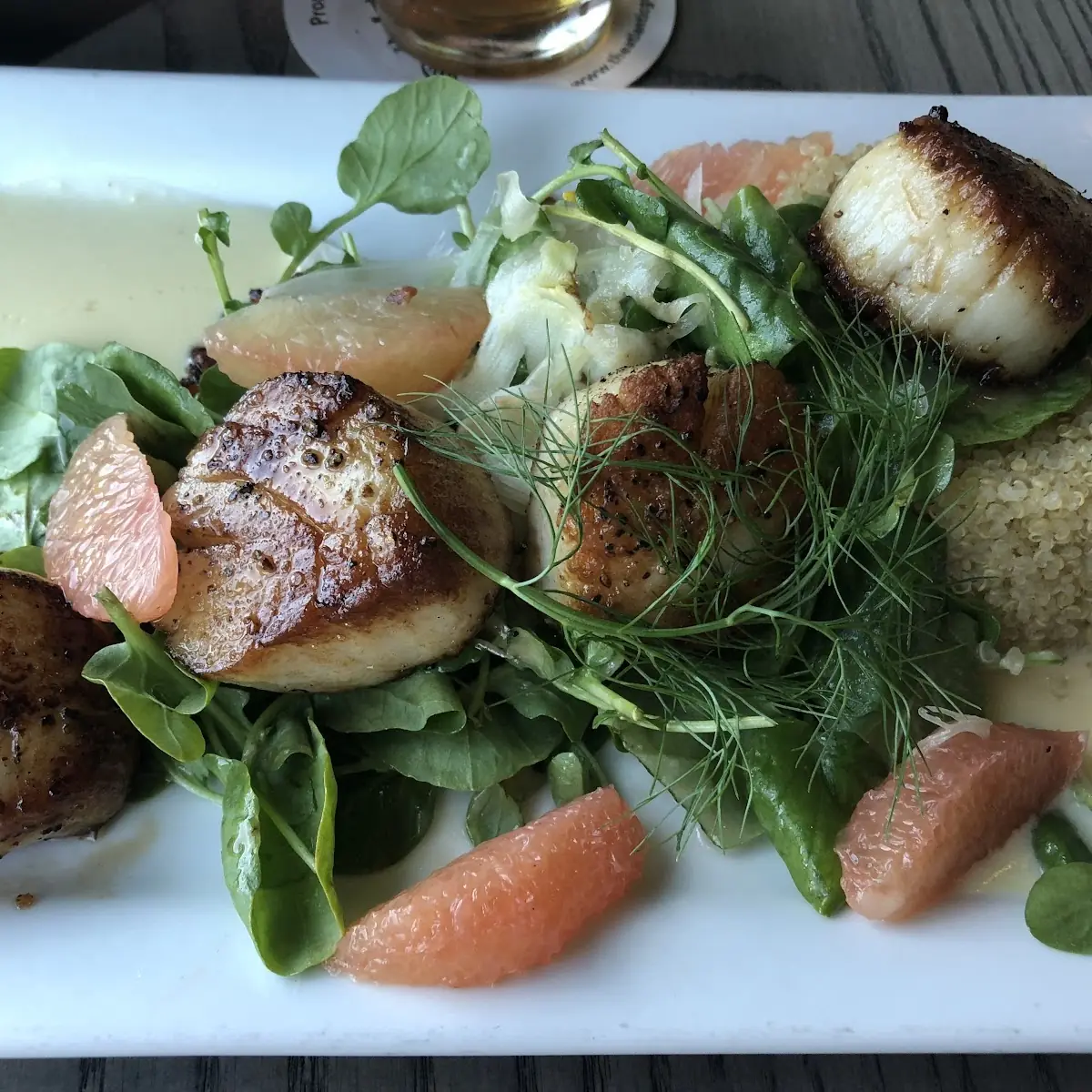 Sea Scallops