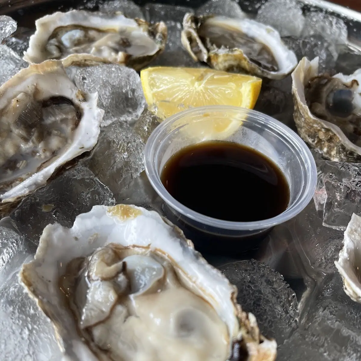 Fresh Oysters