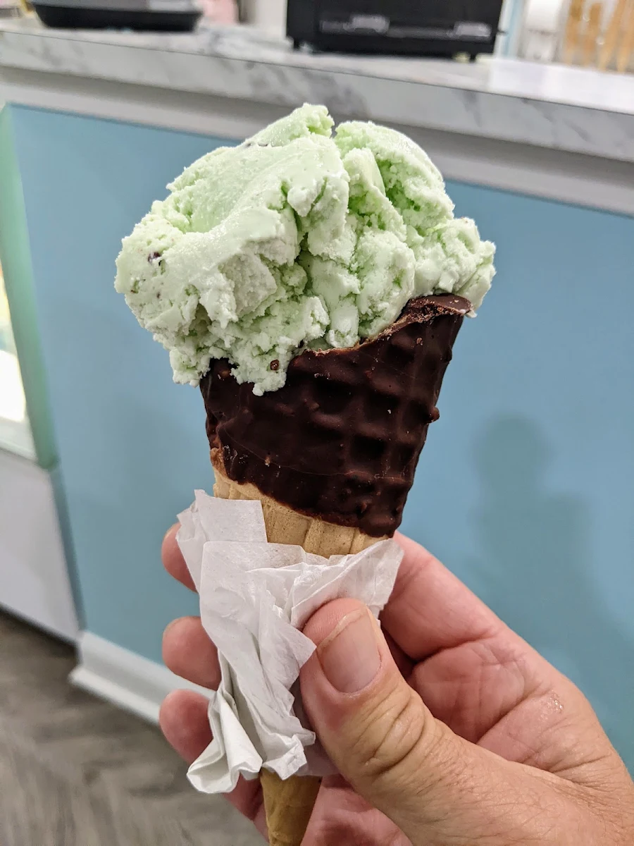 Mint Chocolate Chip in Chocolate Waffle Cone