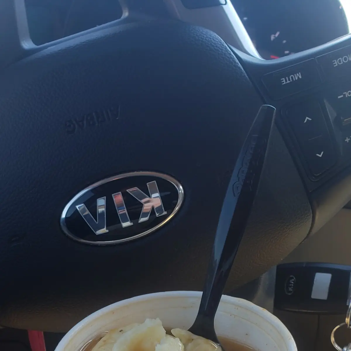Mashed Potatoes & Gravy