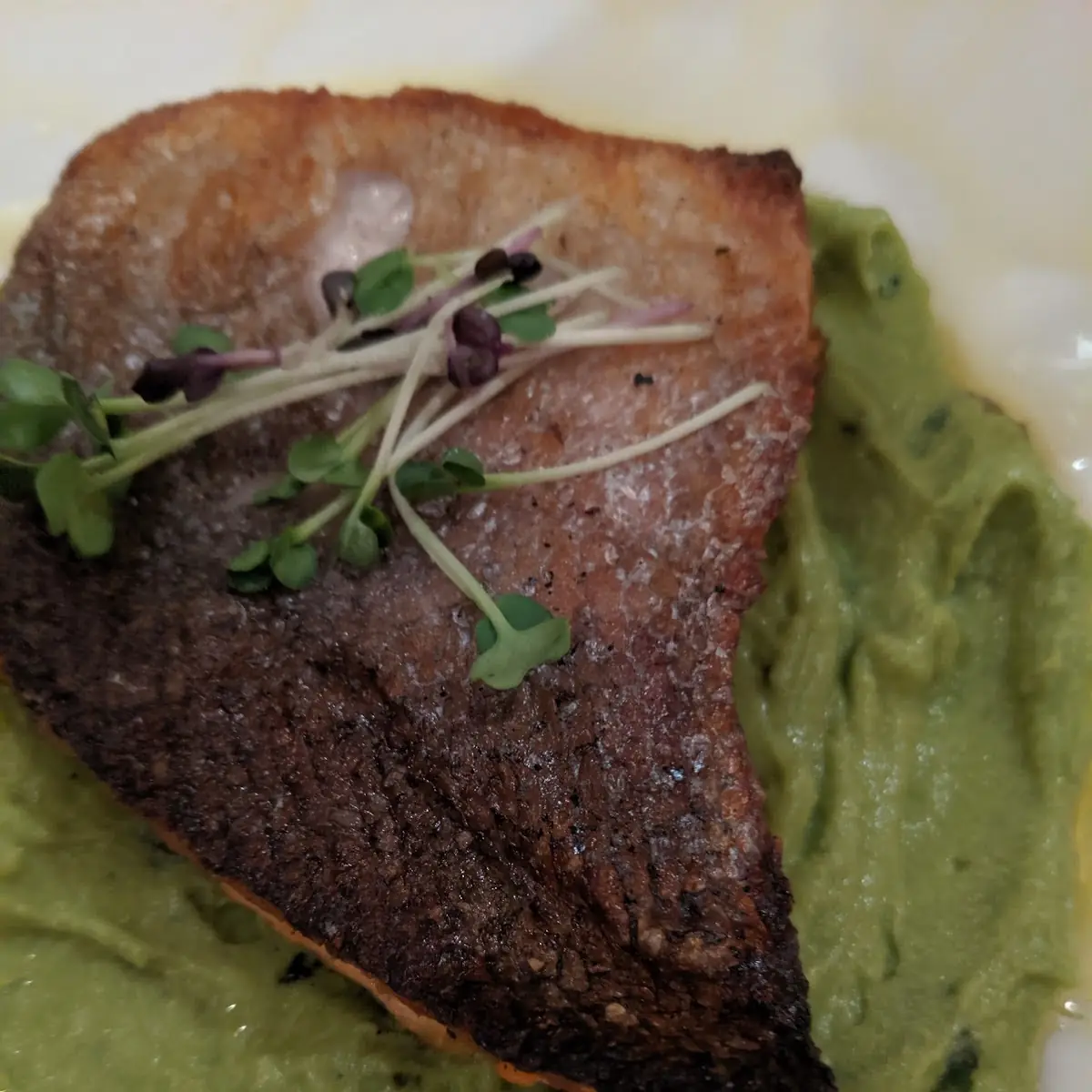 Ora King Salmon