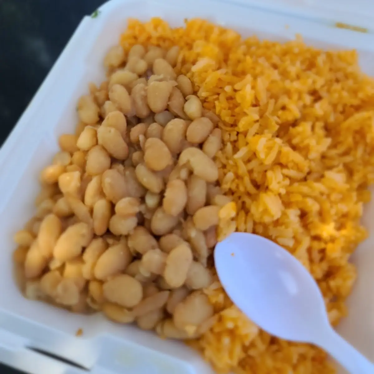 Spanish Rice and Pinto Beans