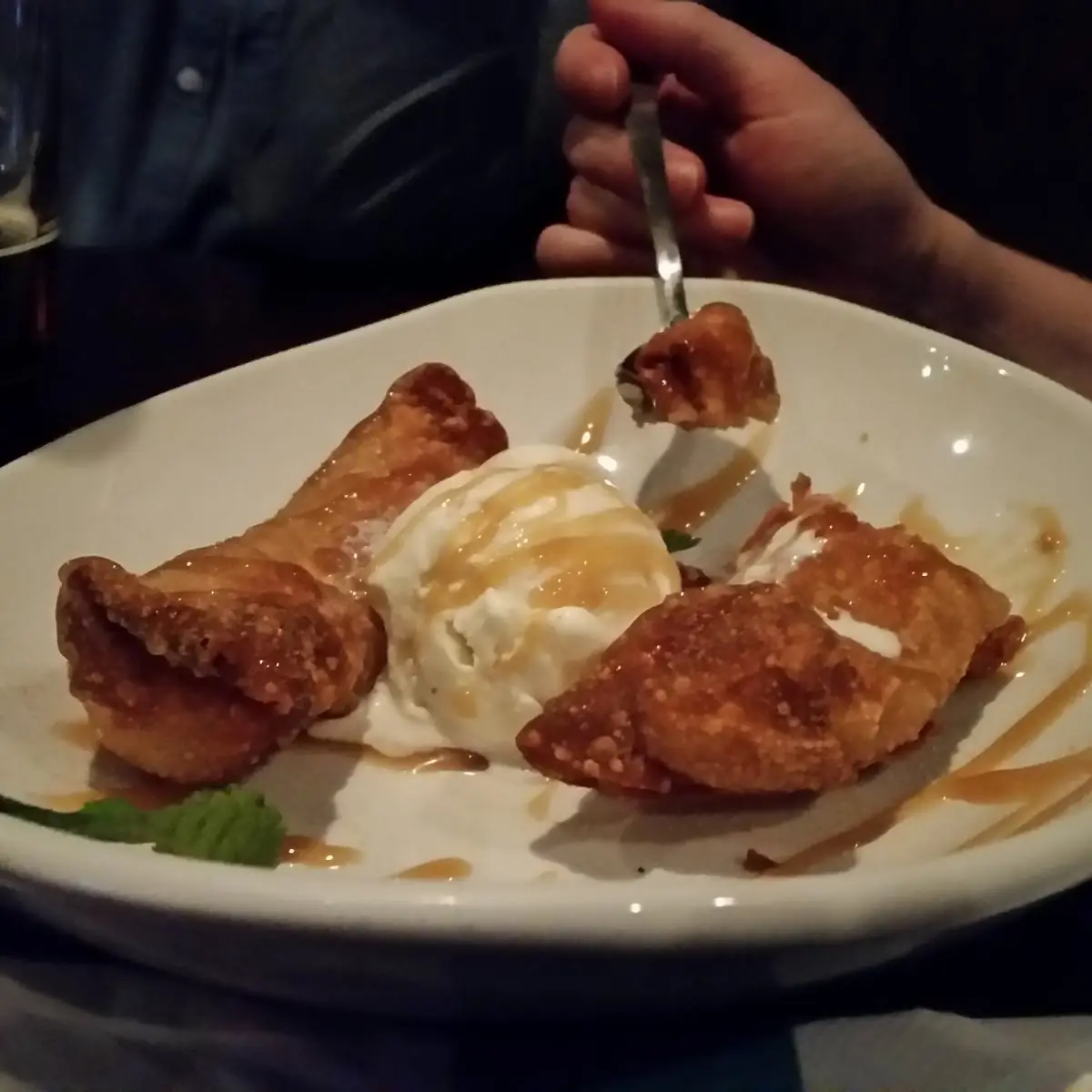 Fried Dumplings