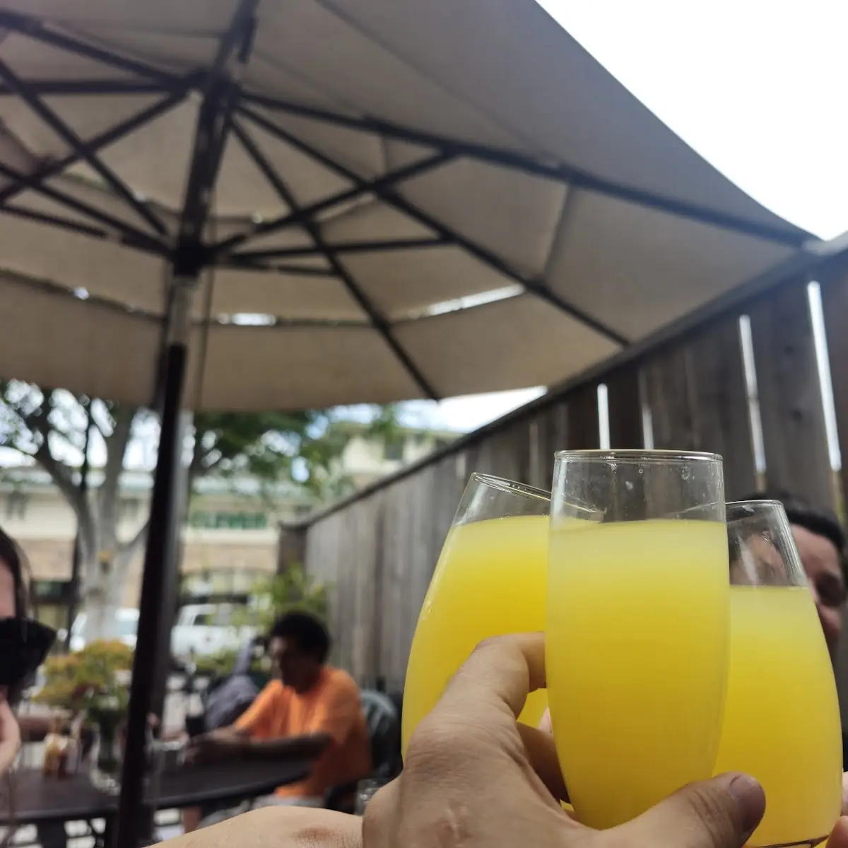 Endless Mimosas