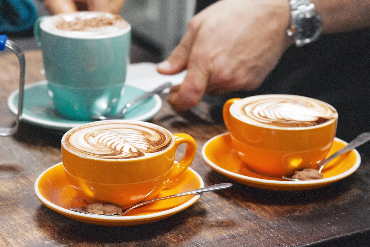 Highlights, SALT Cafe Dural