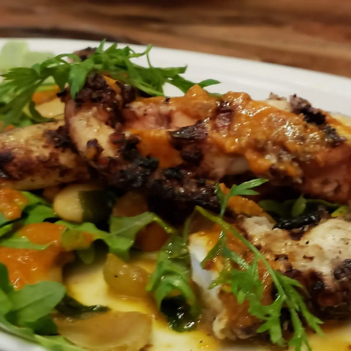 Grilled Octopus