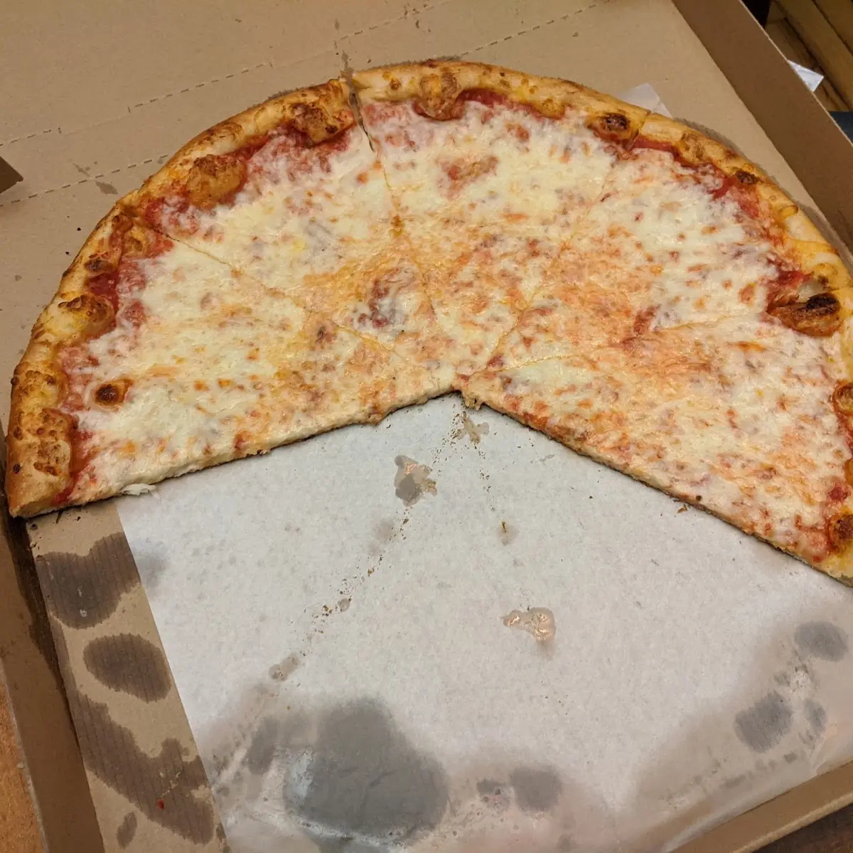Medium Plain Cheese Pizza