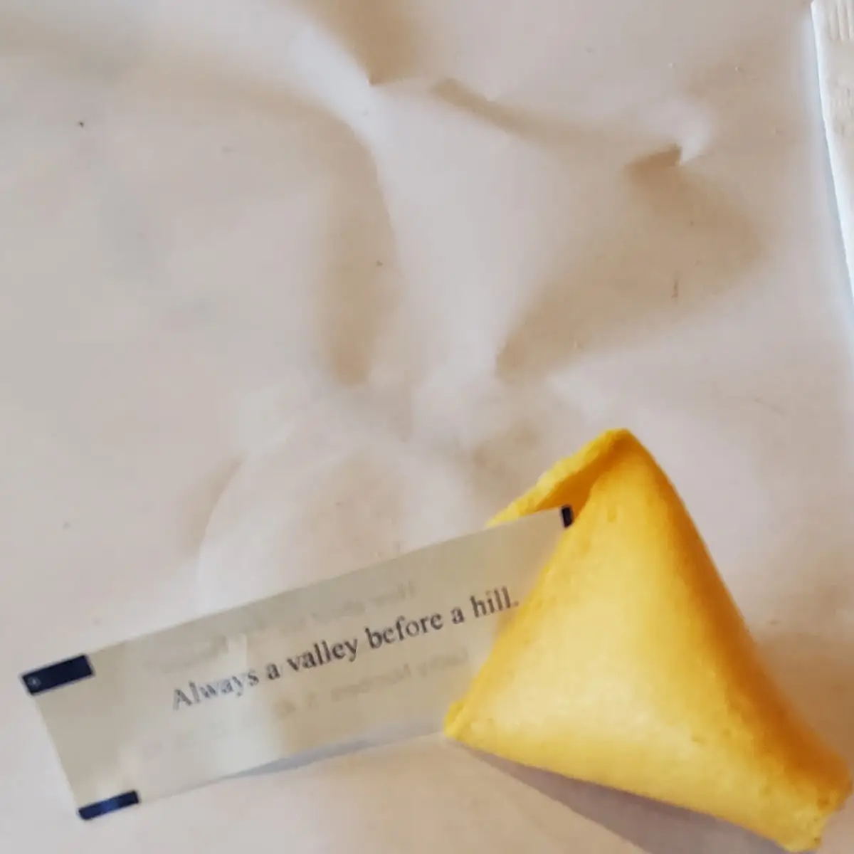 Fortune Cookies 8