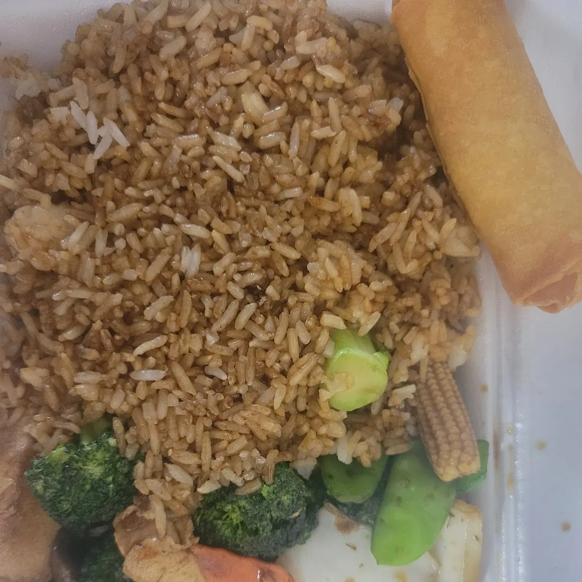 Mix Veg with Vegetable Fried Rice