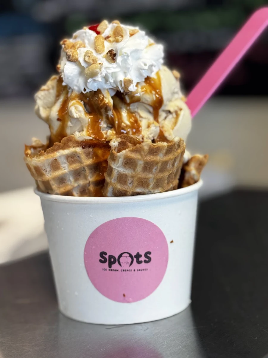 Salted Sea Turtle Sundae