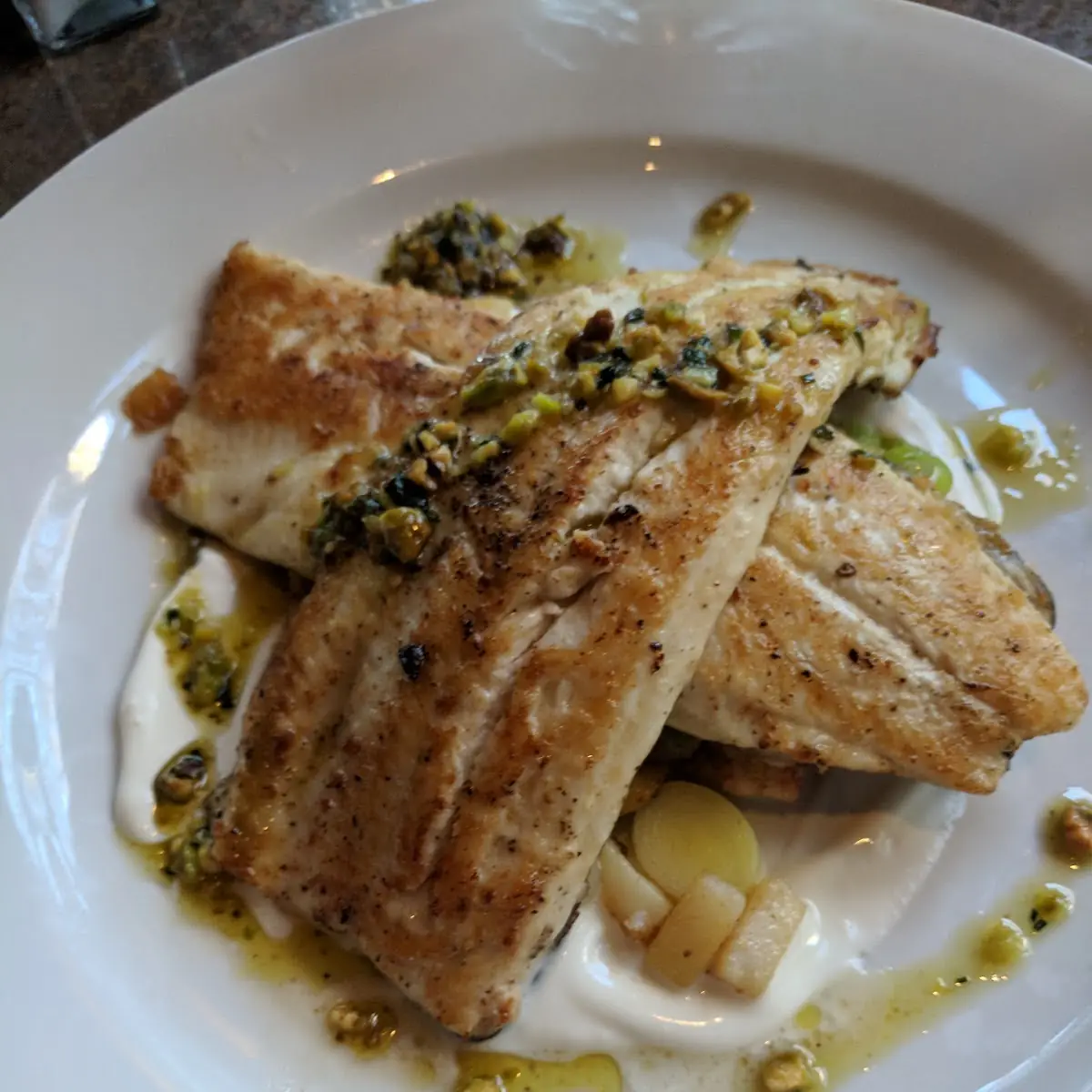Mediterranean Sea Bass