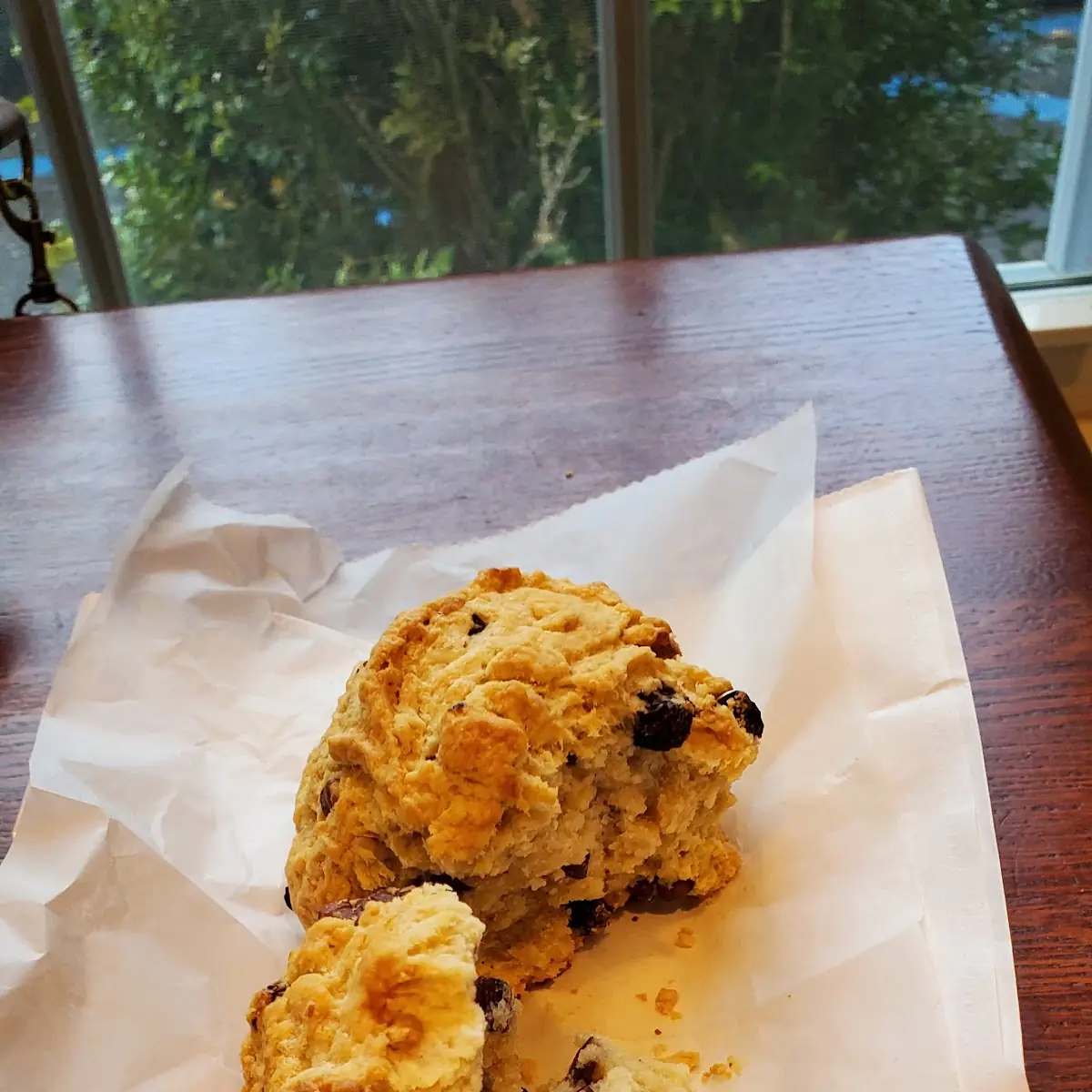 Cranberry Pecan Scone