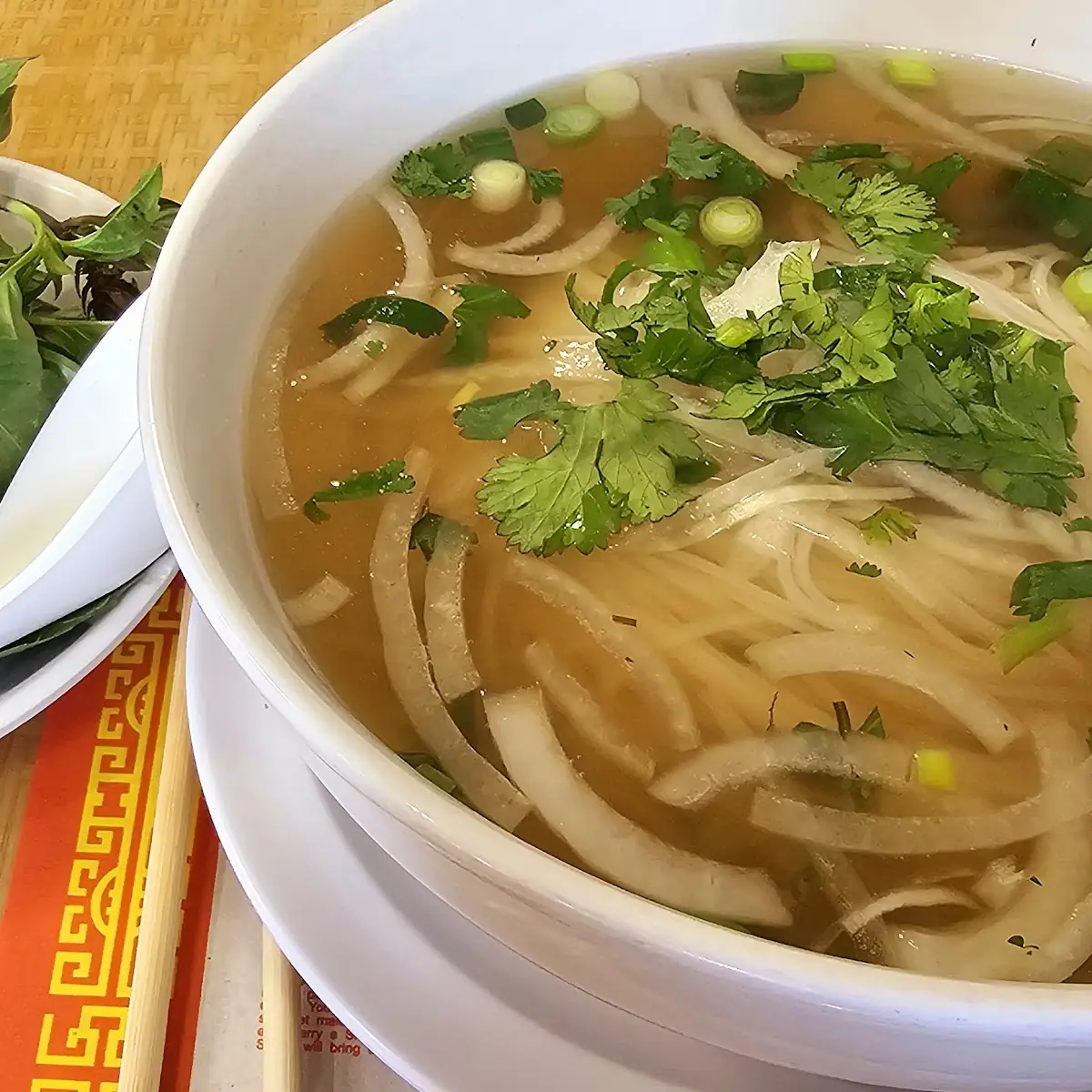 Plain Pho Noodle Soup - Veggie Broth