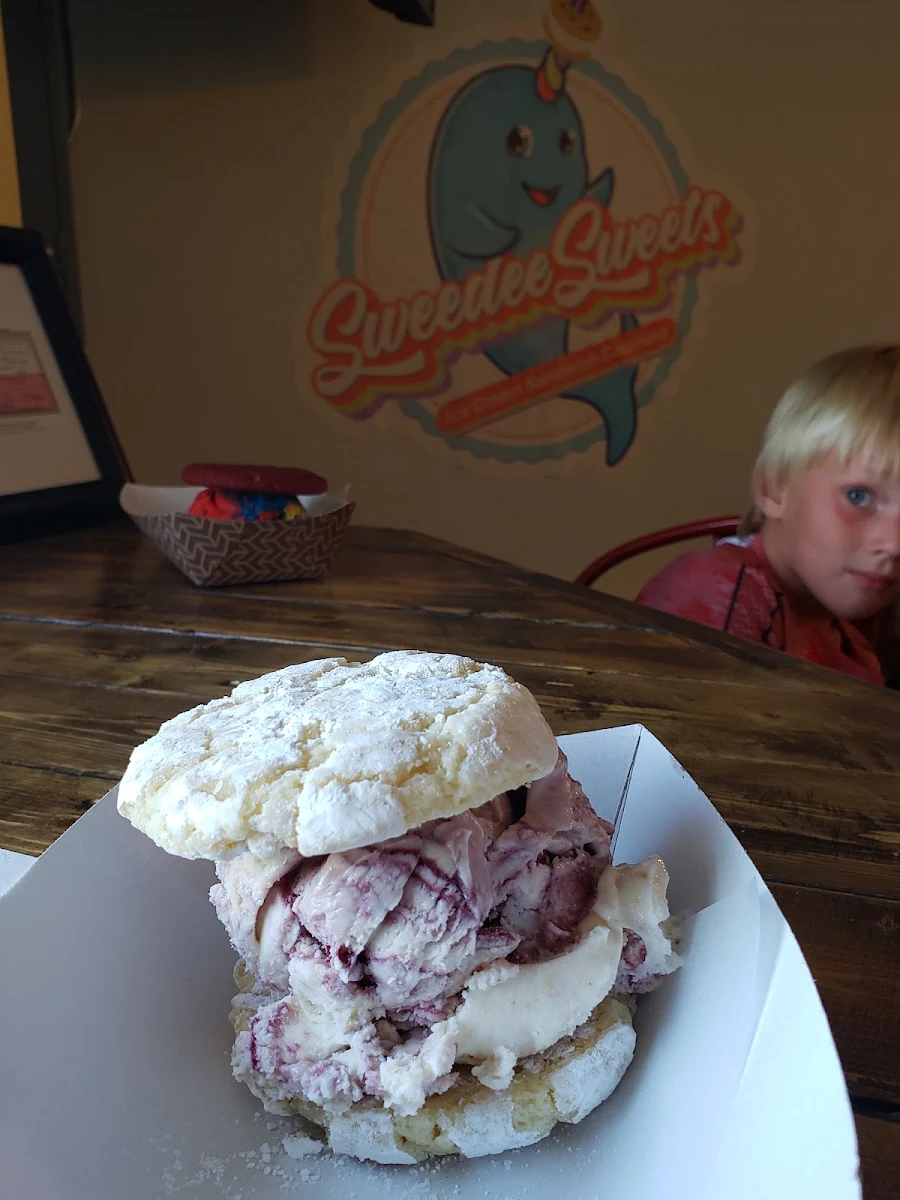 Ice Cream Sandwich