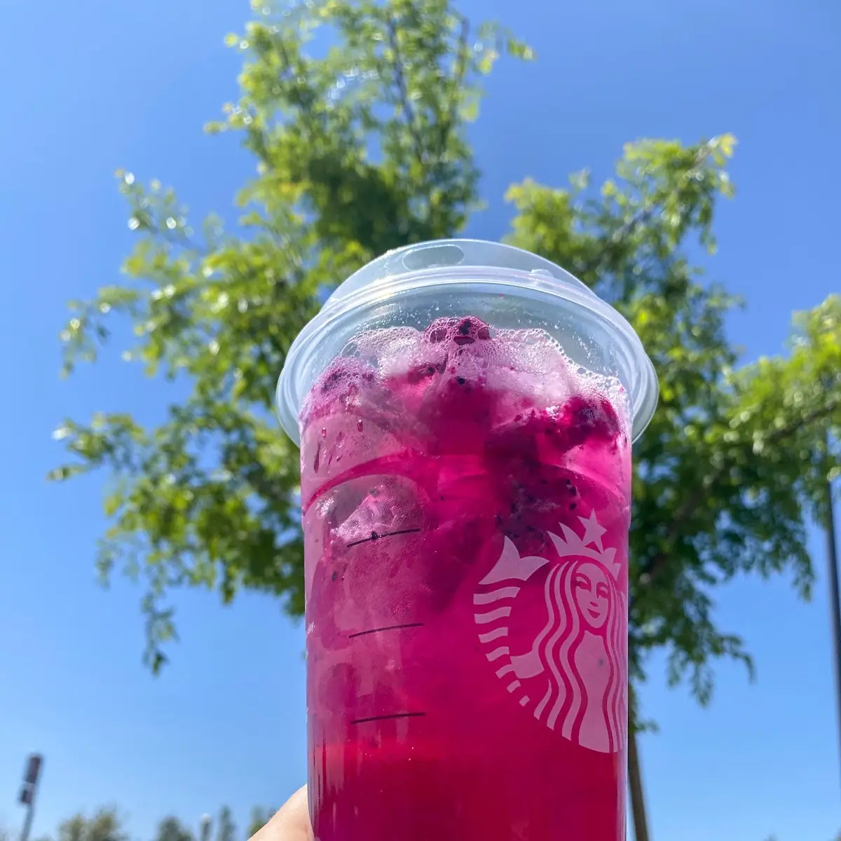 Dragon Fruit Refresher