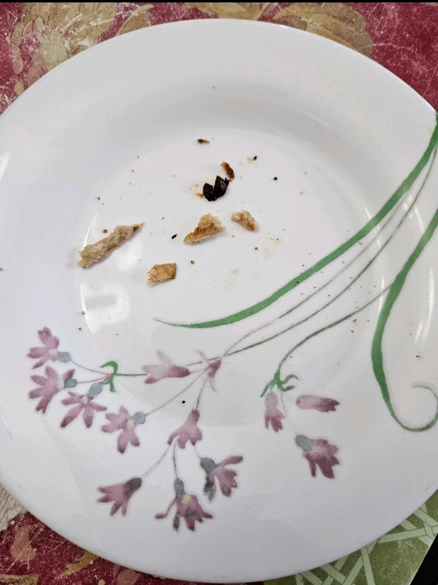 Cinnamon Raisin Bagel