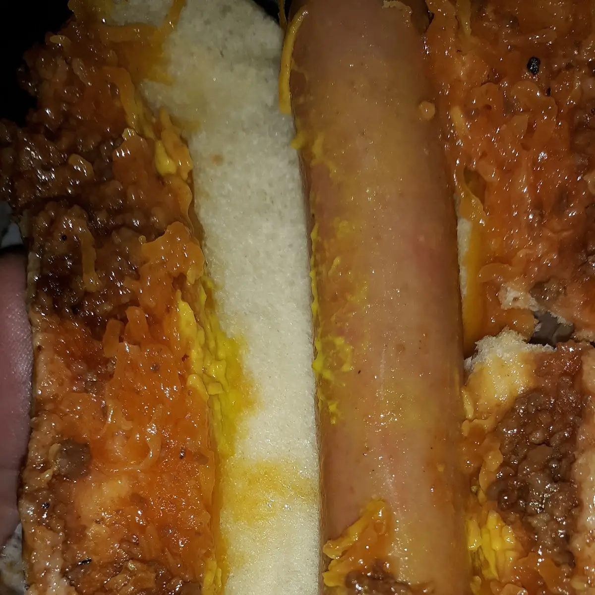 Sloppy Cheese Dog