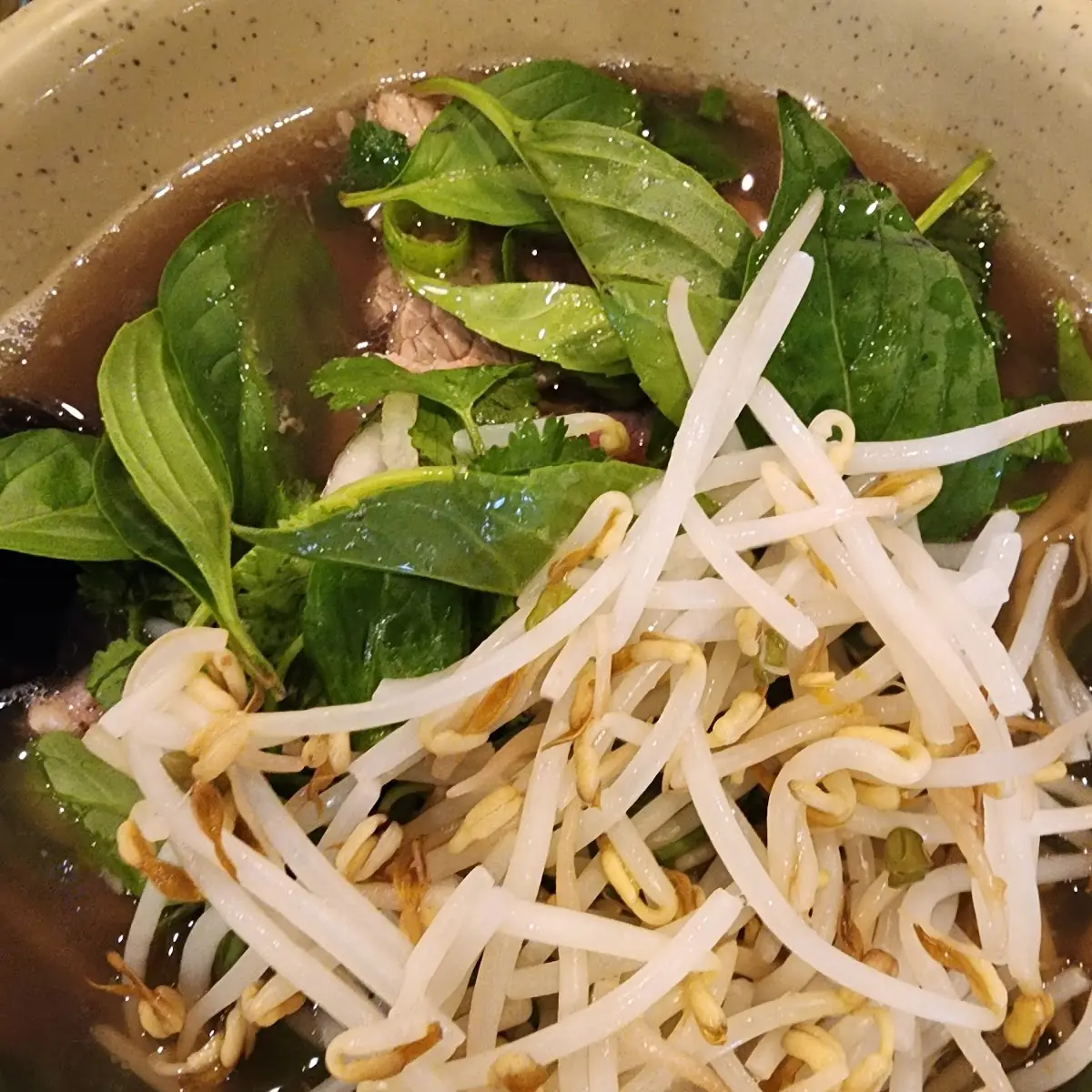 Phở Tái Nạm