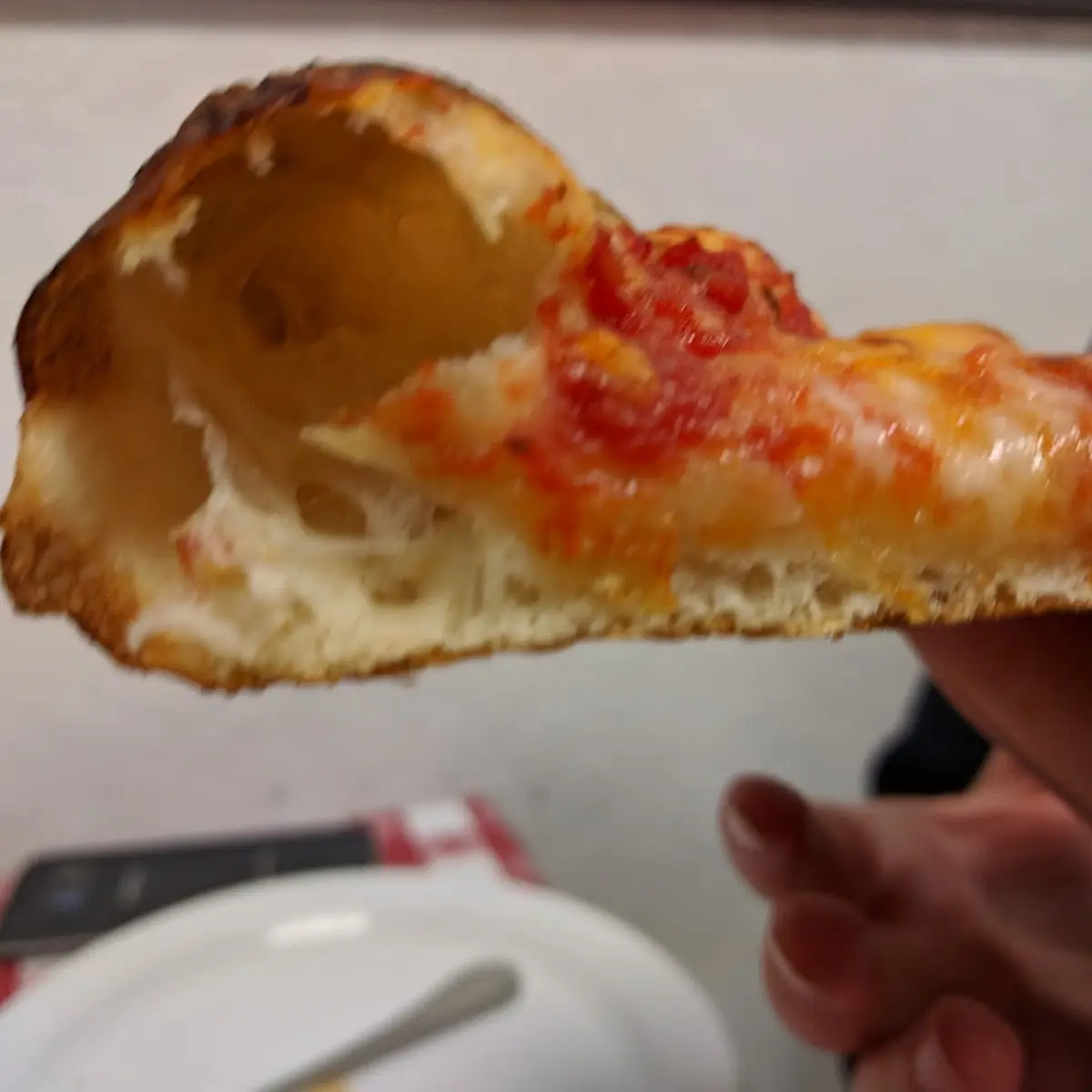 Cheese Pizza