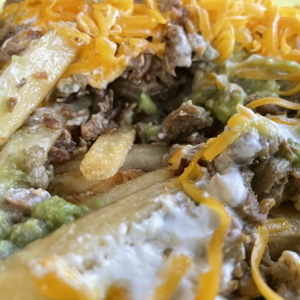 Carne Asada Fries