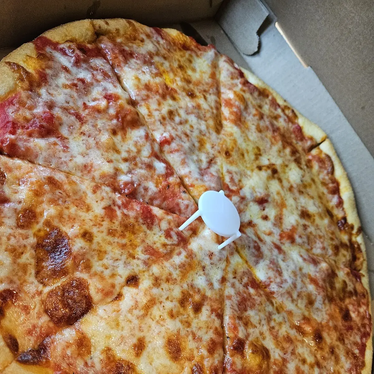 NY Cheese Pizza
