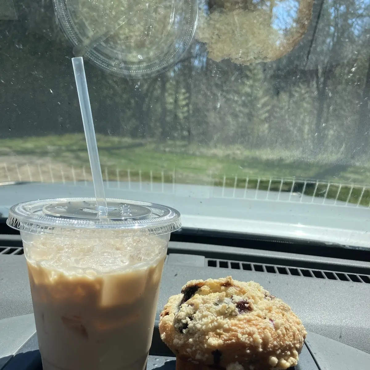 Blueberry Muffin