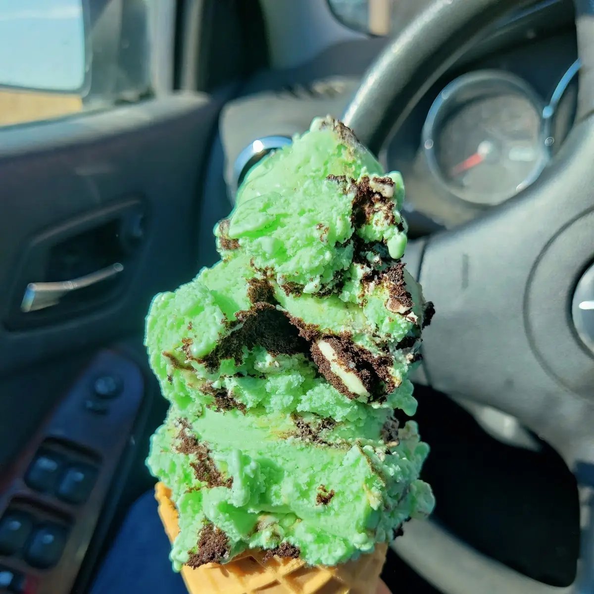 Mint Chocolate Chip