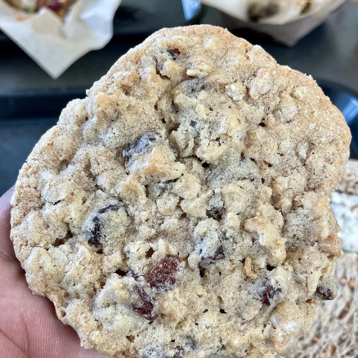 Oatmeal Raisin Cookie