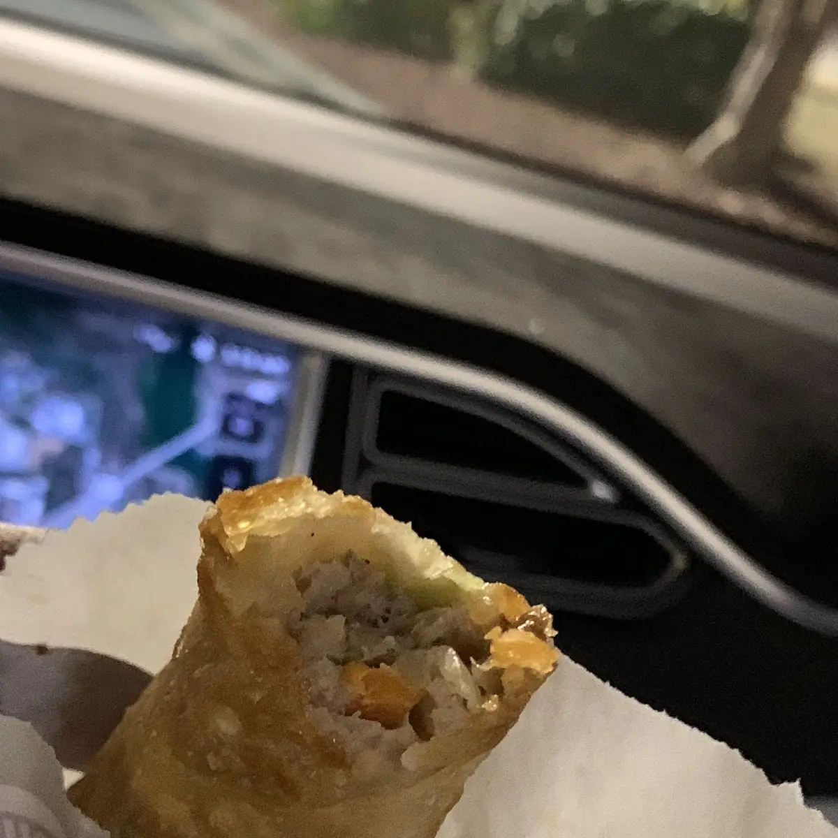 Spring Roll
