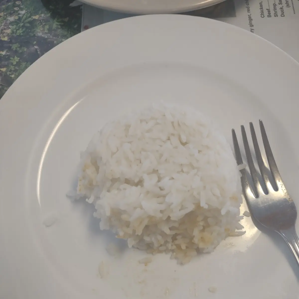 White Rice