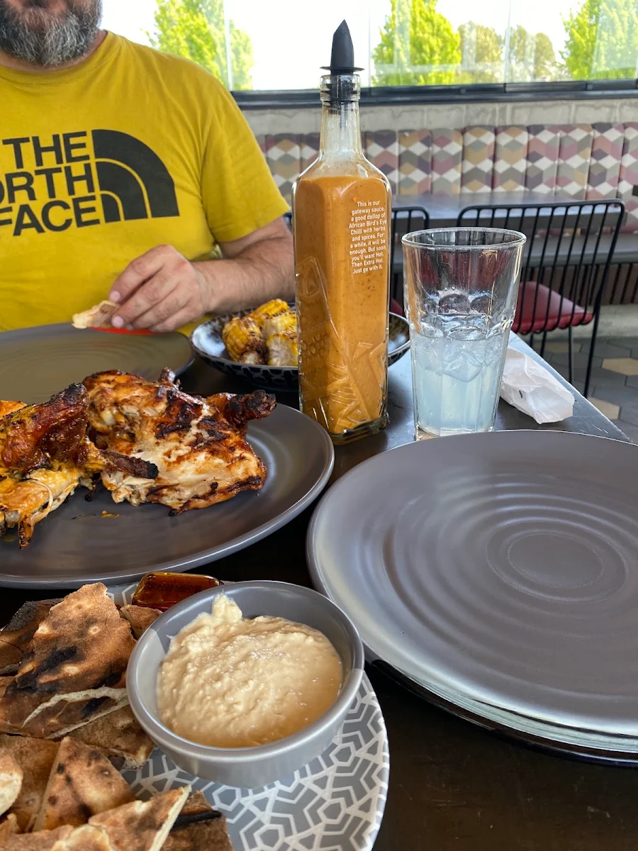 Pollo