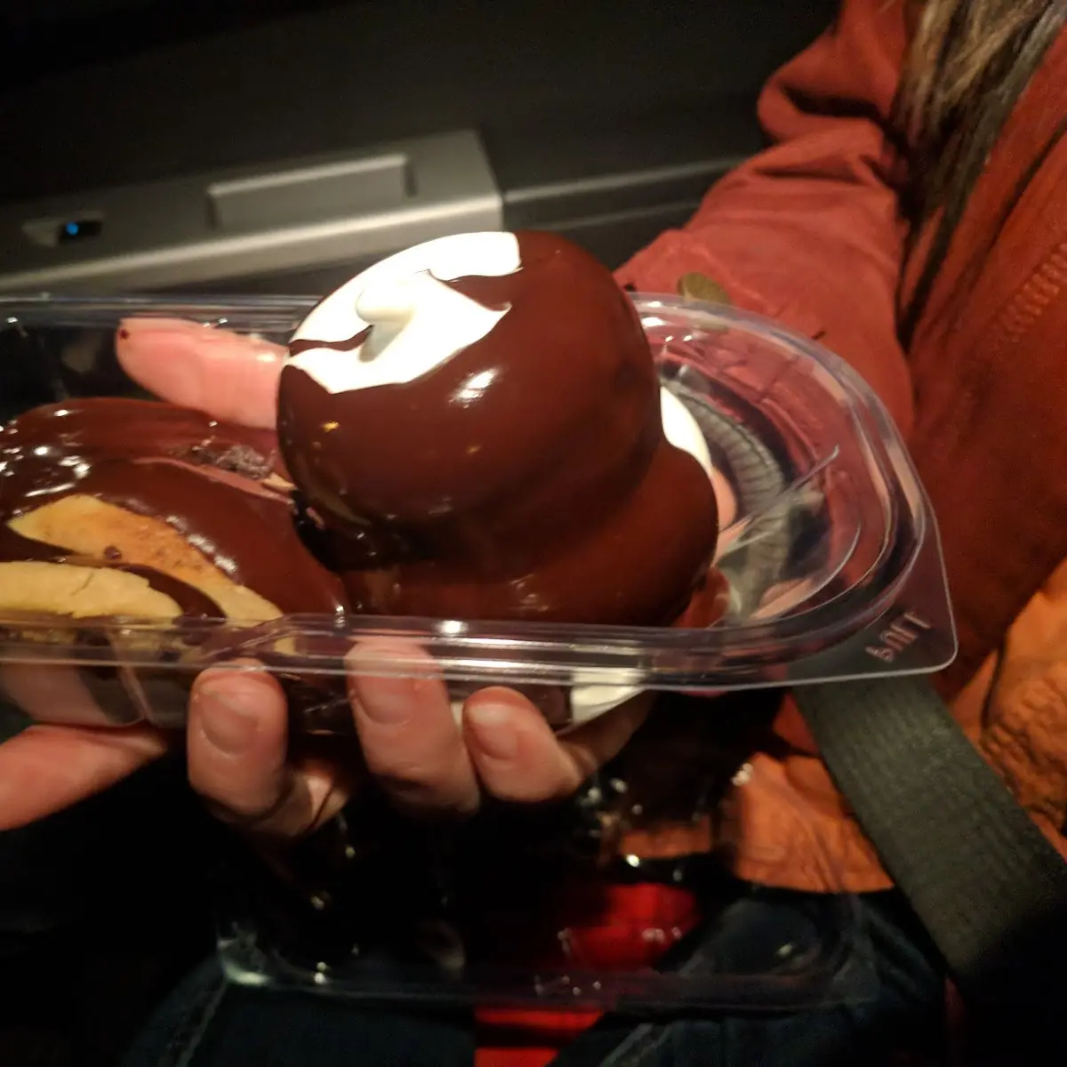 Fudge Ice Cream and Chocolate Chip Cookie