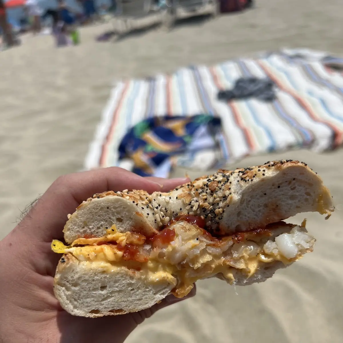 Egg and Cheese with a Hash Brown on a Plain Bagel