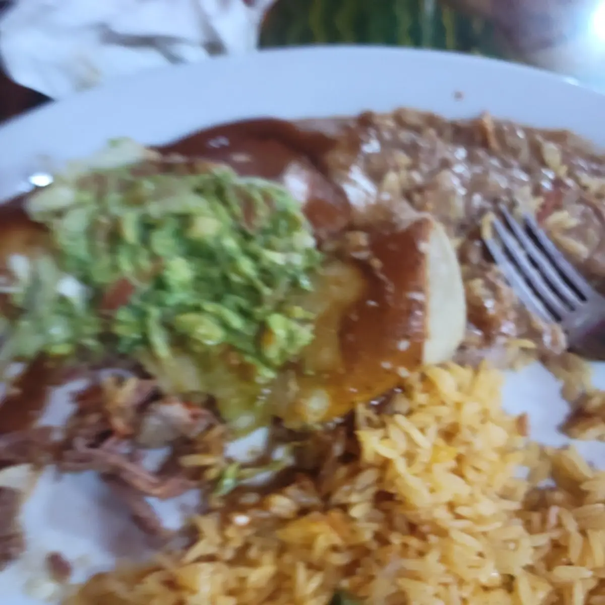 Pulled Beef Enchiladas