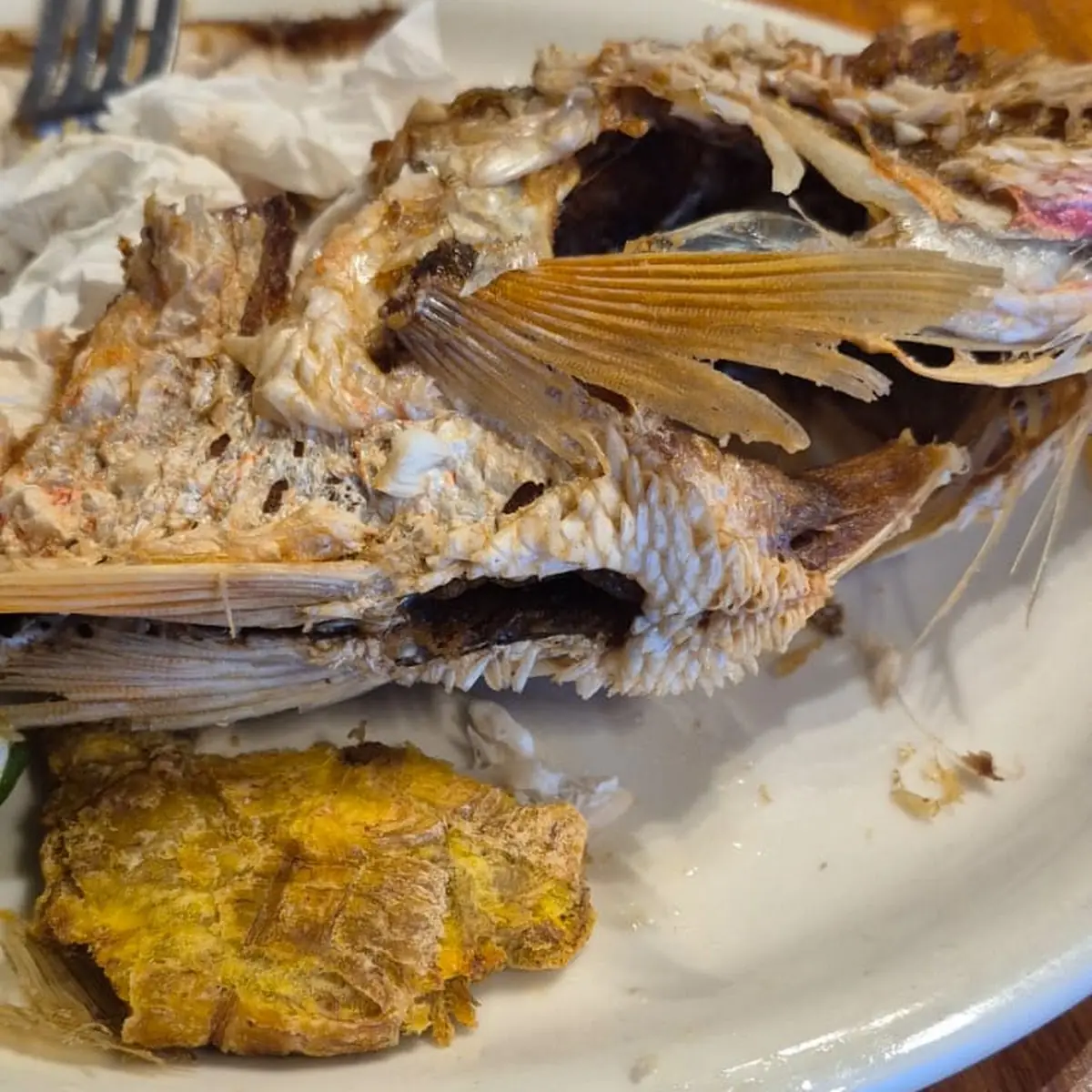 Fried Fish