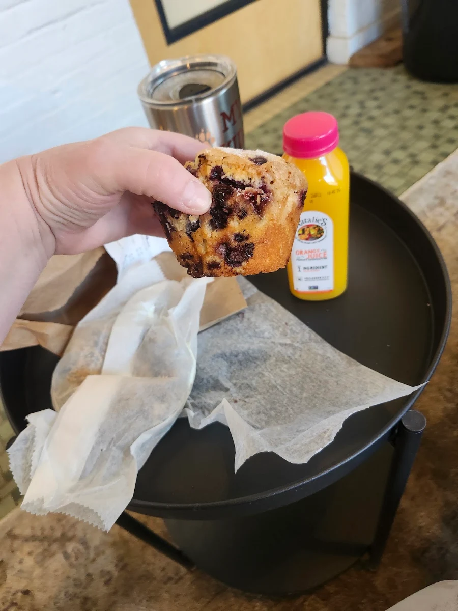 Blueberry Muffin