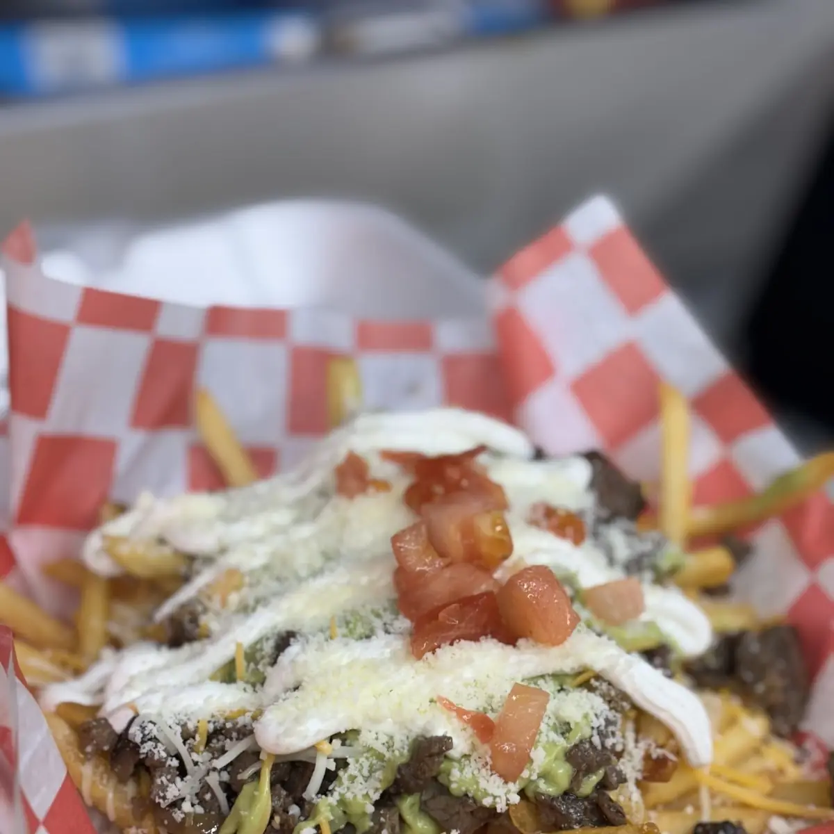 Carne Asada Fries