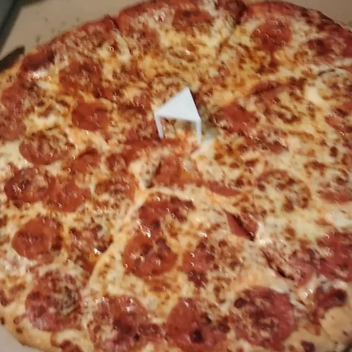 Extra Cheese Pizza