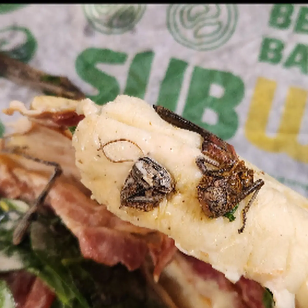Insects on My Sandwich